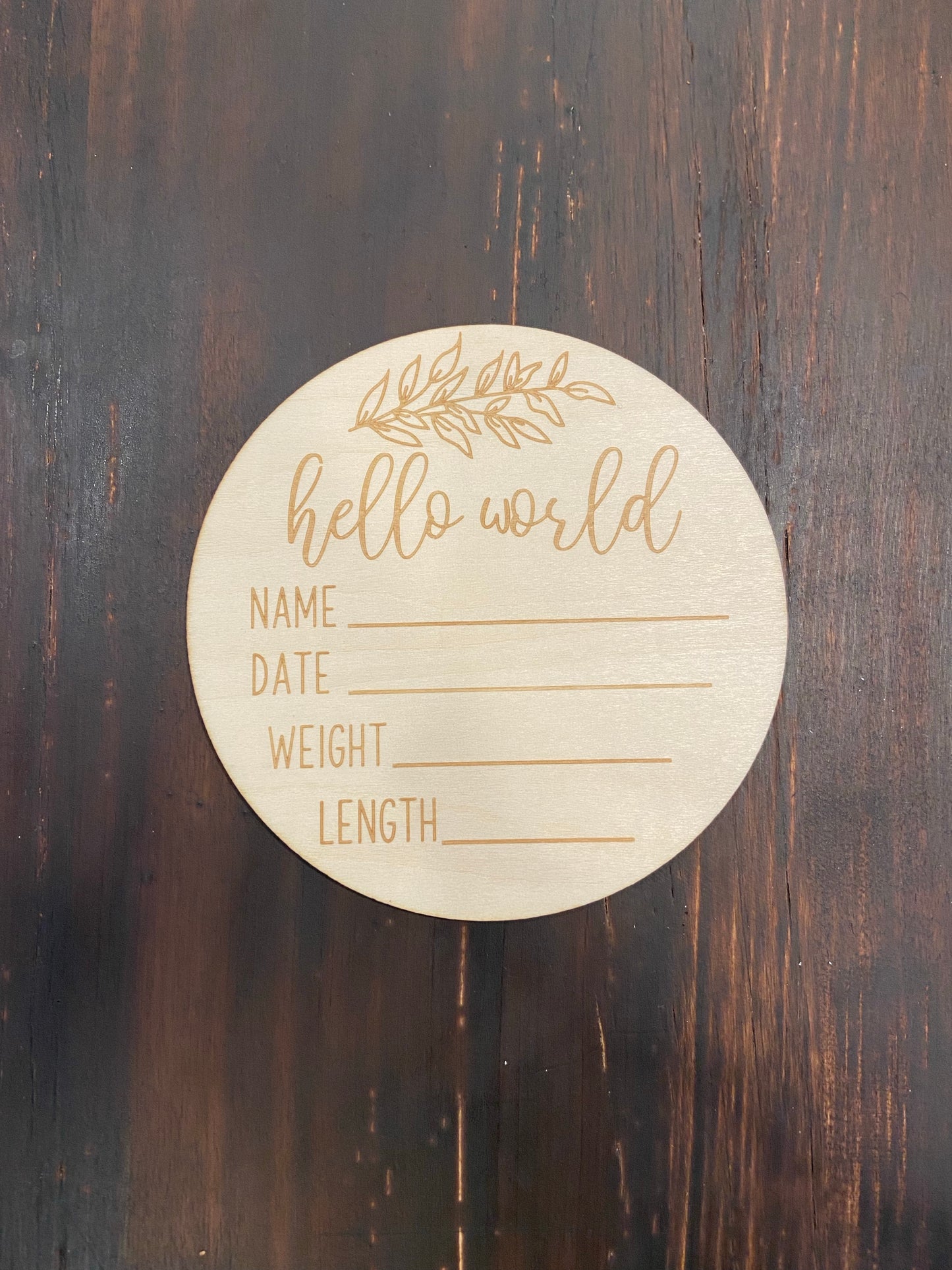 “HELLO WORLD” newborn announcement sign